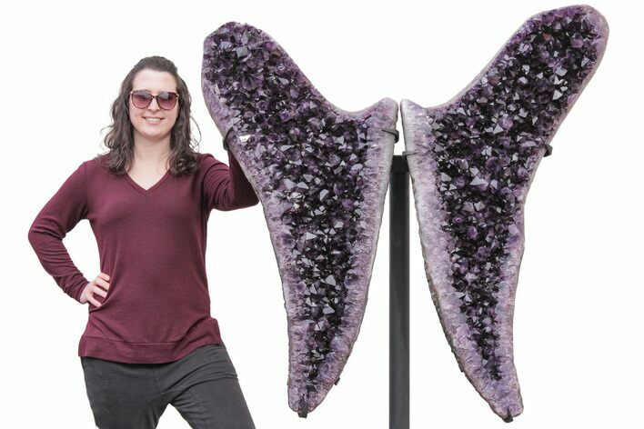 Deep-Purple Amethyst Wings on Metal Stand - Large Crystals #209260